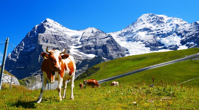 アルプスの少女ハイジをイメージしたアルプスの景色